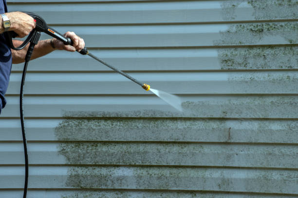 Boat and Dock Cleaning in North Utica, IL