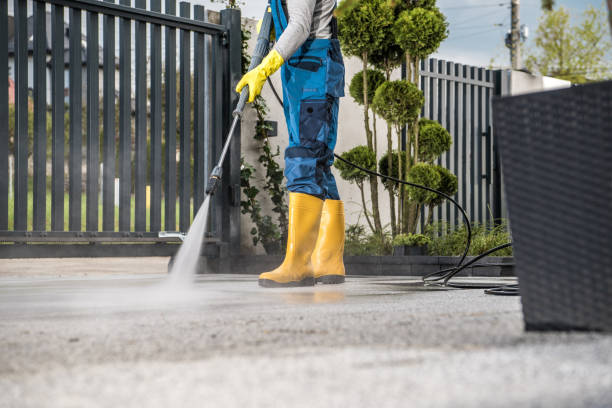 Professional Pressure Washing Services in North Utica, IL
